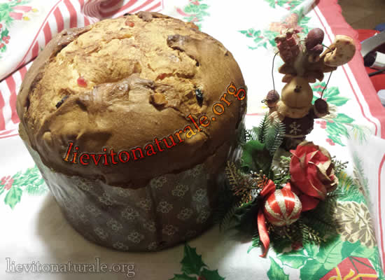 panettone