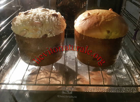 panettone