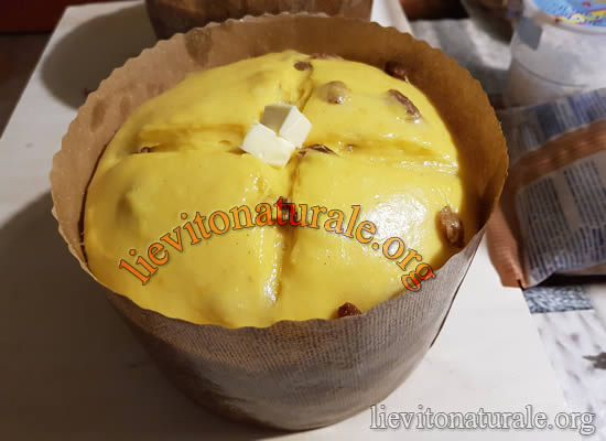 scarpare panettone