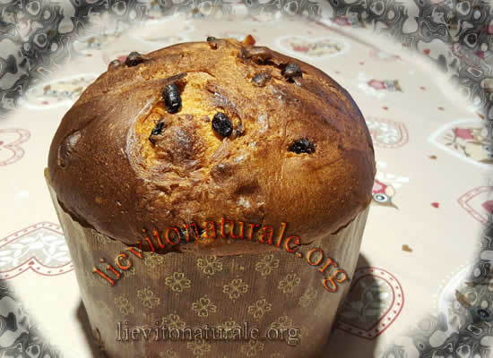 panettone alle noci