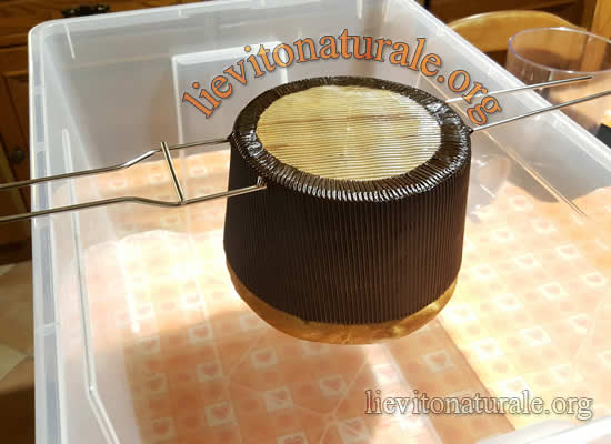 Panettone in raffreddamento