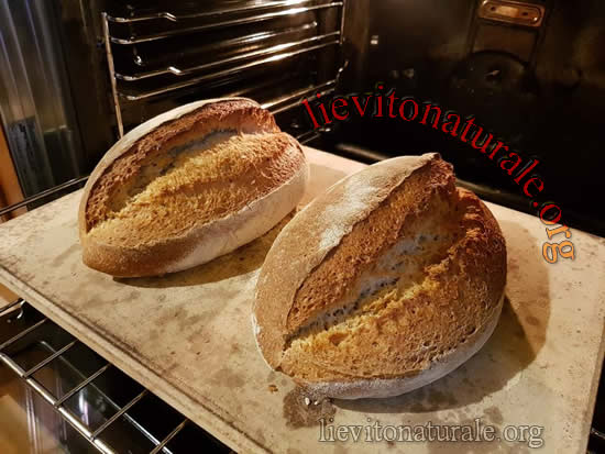 Fare il pane in casa