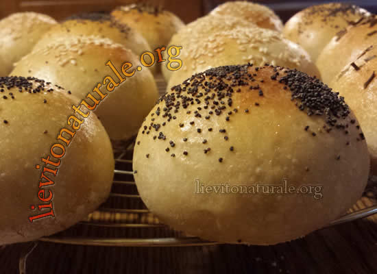 panini alle spezie