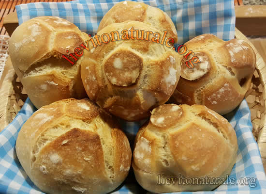 Panini Rosette Soffiate Con Lievito Naturale O Pasta Madre E Farina Macinata A Pietra