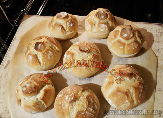 Panini Rosette Soffiate Con Lievito Naturale O Pasta Madre E Farina Macinata A Pietra