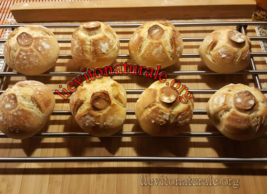 rosette con lievito madre