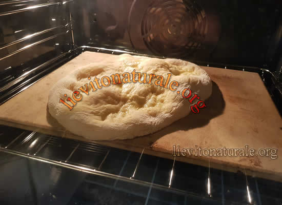 pizza alla romana in forno