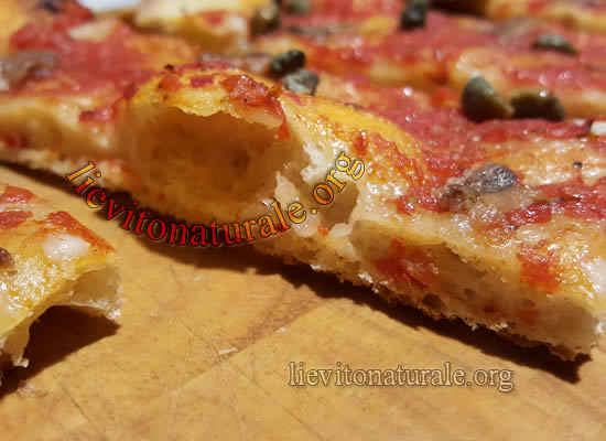 Pizza in Teglia con Lievito Naturale o Pasta Madre e Farina Macinata a Pietra