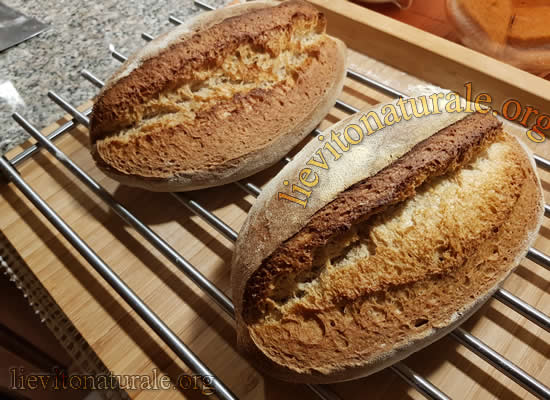 pane fatto in casa