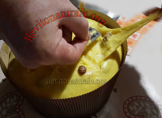 scarpare panettone