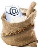 contatti mail