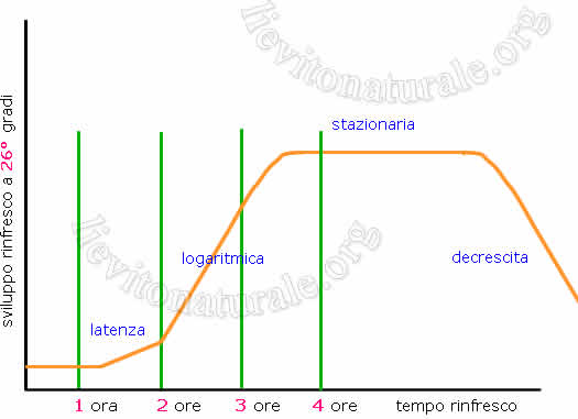 fasi e tempi di un rinfresco