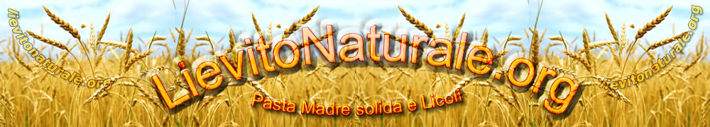 campo di grano